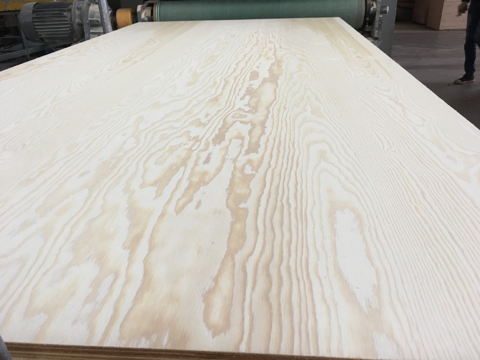 18mm Pine Plywood